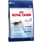 Фото - Корм для щенков крупных пород Royal Canin (Роял Канин)  Maxi  Junior Active 