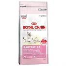 Корм для котят до 4х месяцев Royal Canin (Ройял Канин) Baby Cat -34