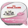 Фото - Royal Canin Babycat Instinctive (для котят до 4 месяцев, а также для кормящих)