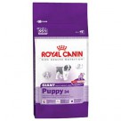 Фото - Корм для щенков крупных пород Royal Canin (Роял Канин) Giant Puppy 34
