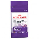      Royal Canin ( ) Giant Adult
