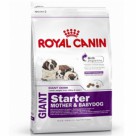   ,      Royal Canin ( )  Giant Starter