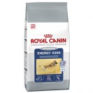       Royal Canin ( )  Maxi Energy